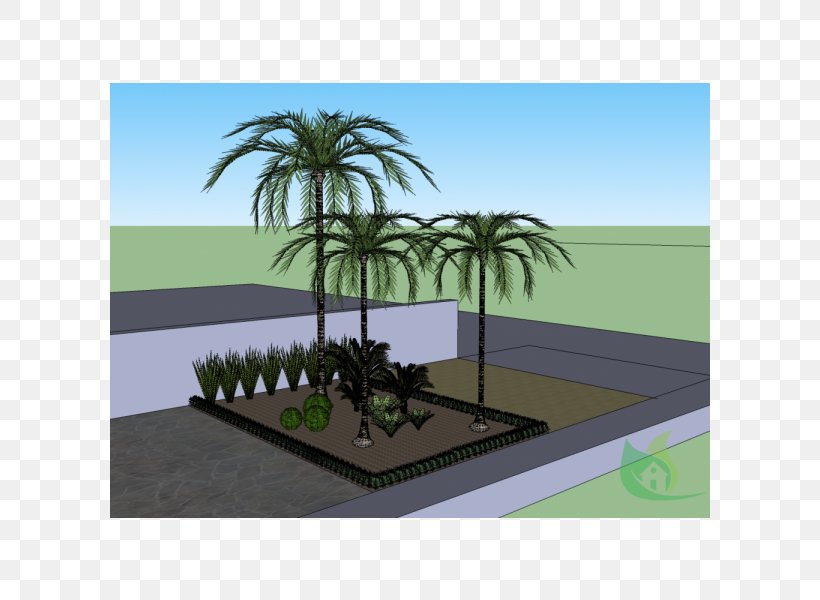 Palm Trees Landscaping Land Lot Real Property, PNG, 600x600px, Palm Trees, Arecales, Grass, Land Lot, Landscape Download Free