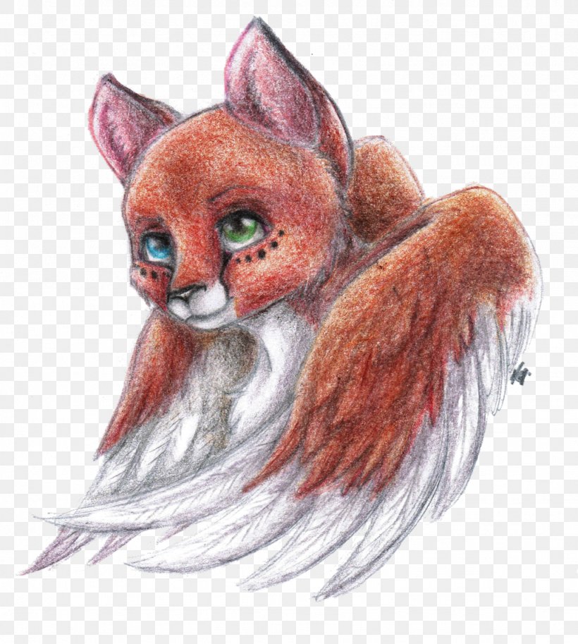 Whiskers Red Fox Cat Drawing, PNG, 1024x1141px, Whiskers, Carnivoran, Cat, Cat Like Mammal, Dog Like Mammal Download Free