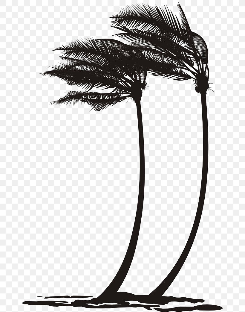 Arecaceae Wind Tree Clip Art, PNG, 671x1042px, Wind, Arecaceae, Arecales, Black And White, Coconut Download Free