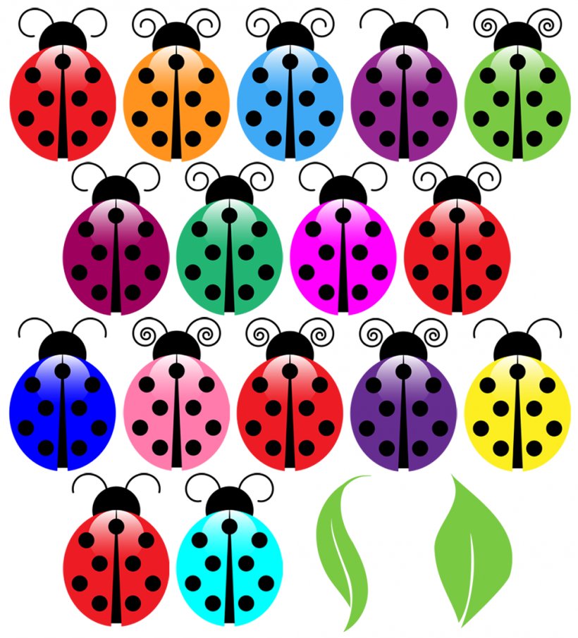 Ladybird Free Content Blog Clip Art, PNG, 1000x1105px, Ladybird, Blog, Creative Market, Free Content, Invertebrate Download Free