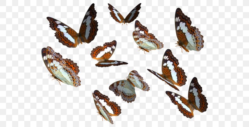 Monarch Butterfly Clip Art, PNG, 600x420px, Butterfly, Color, Fauna, Greta Oto, Insect Download Free