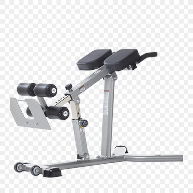 Bench Hyperextension Roman Chair Exercise Equipment Strength Training, PNG, 1000x1000px, Bench, Dip, Exercise, Exercise Equipment, Exercise Machine Download Free