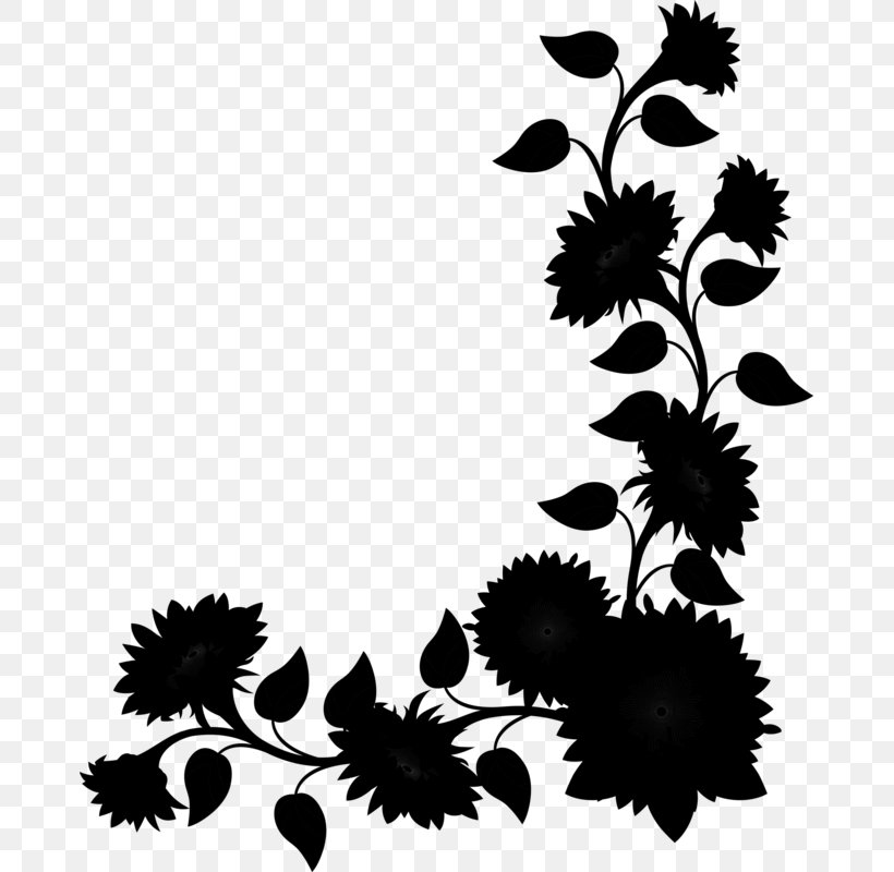 Chrysanthemum Floral Design Leaf Pattern, PNG, 673x800px, Chrysanthemum, Black M, Blackandwhite, Botany, Chrysanths Download Free