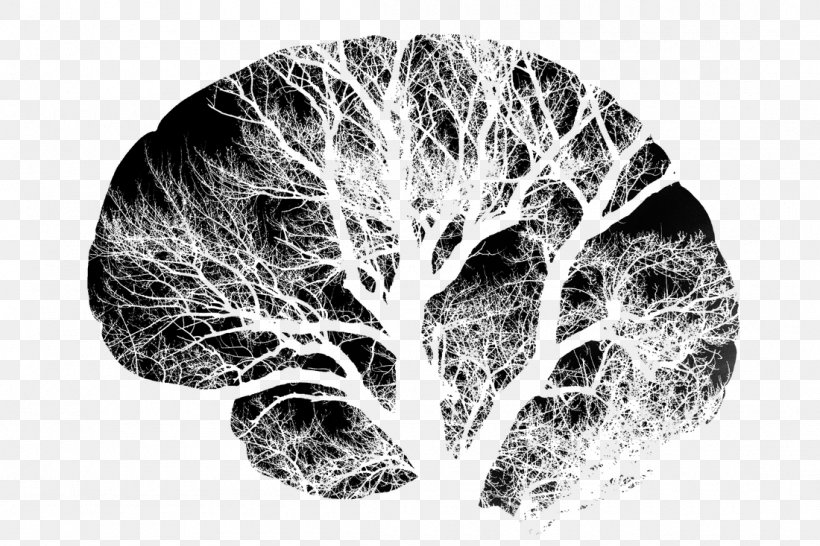 Human Brain Neuron Brain Safari Brain Damage, PNG, 1100x733px, Watercolor, Cartoon, Flower, Frame, Heart Download Free