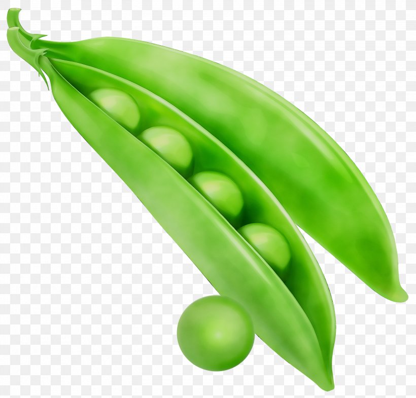 Snow Pea Clip Art Vegetable Vegetarian Cuisine Snap Pea, PNG, 3000x2872px, Snow Pea, Bean, Flowering Plant, Food, Fruit Download Free