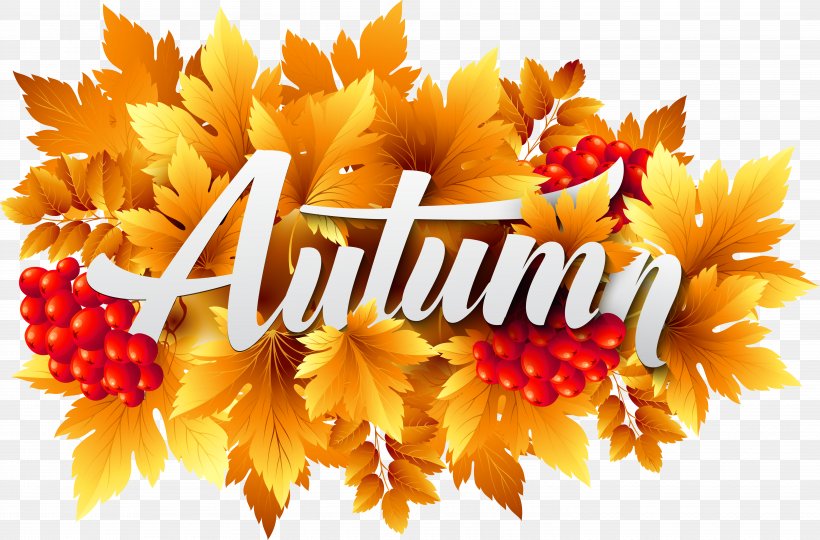 Autumn Clip Art, PNG, 5856x3860px, Autumn, Art, Autumn Leaf Color, Floral Design, Flower Download Free