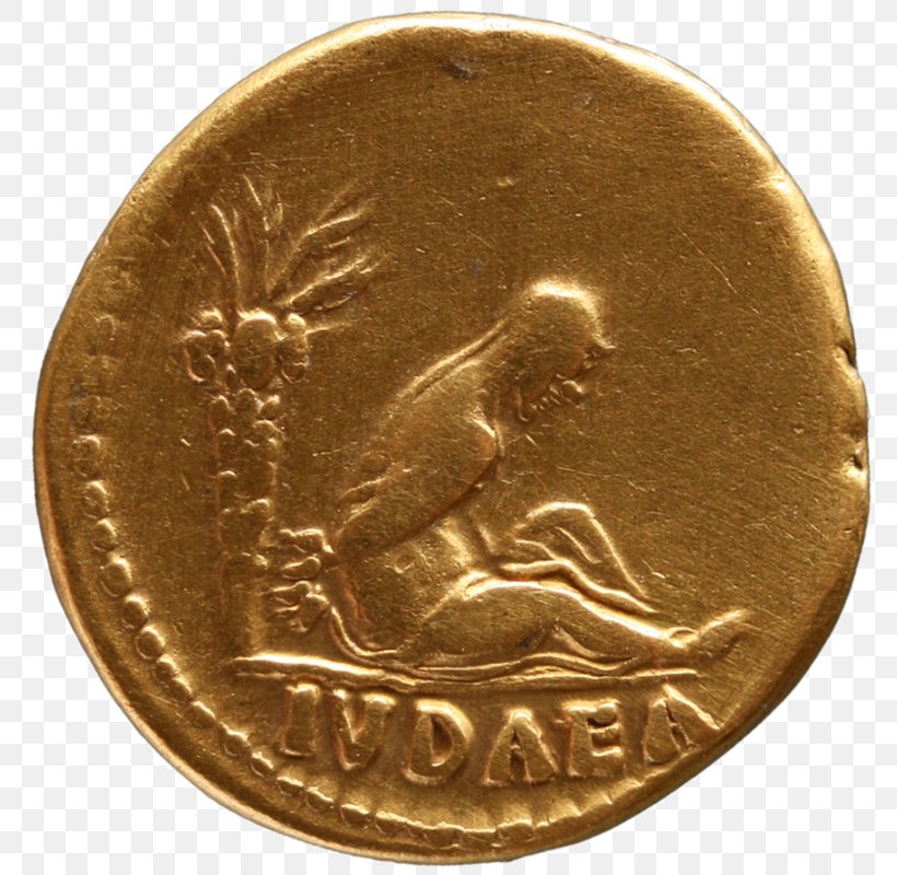 Coin Gold Medal Bronze, PNG, 800x800px, Coin, Bronze, Currency, Gold, Medal Download Free
