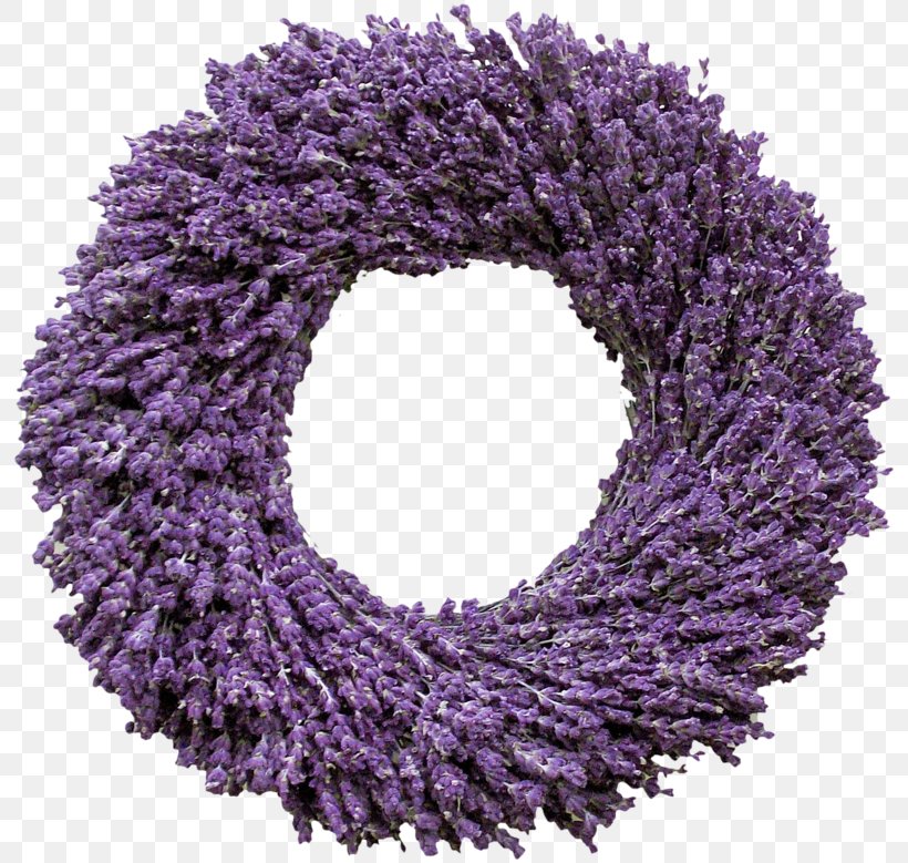 English Lavender Wreath Flower French Lavender, PNG, 800x779px, English Lavender, Artificial Flower, Christmas, Flower, French Lavender Download Free