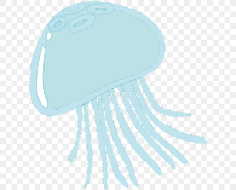 Jellyfish Illustration Sea Moon Jelly Kamo Aquarium, PNG, 622x660px, Jellyfish, Aqua, Gratis, Headgear, Invertebrate Download Free