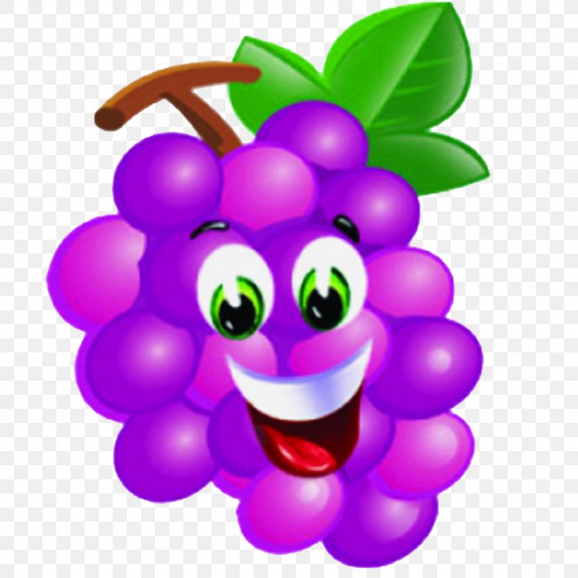 Grape Head Cheese Auglis Fruit, PNG, 1024x1024px, Grape, Auglis, Cartoon, Flower, Flowering Plant Download Free