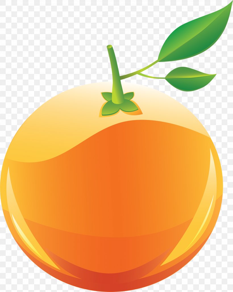 Orange Clip Art, PNG, 3009x3769px, Orange, Citrus, Clip Art, Food, Fruit Download Free
