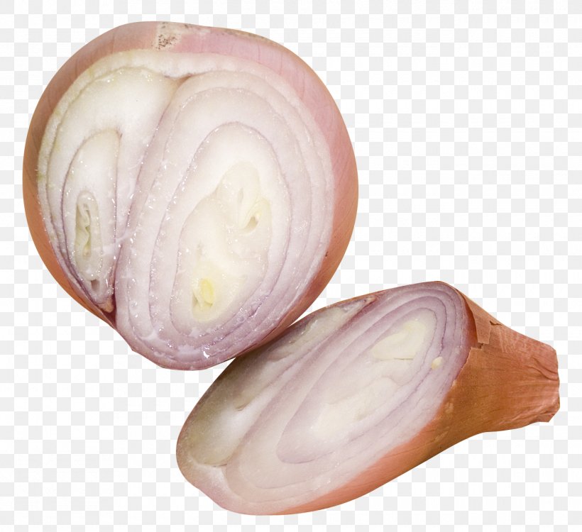 Shallot Slicing, PNG, 1320x1208px, Shallot, Cup, Flour, Onion, Red Onion Download Free