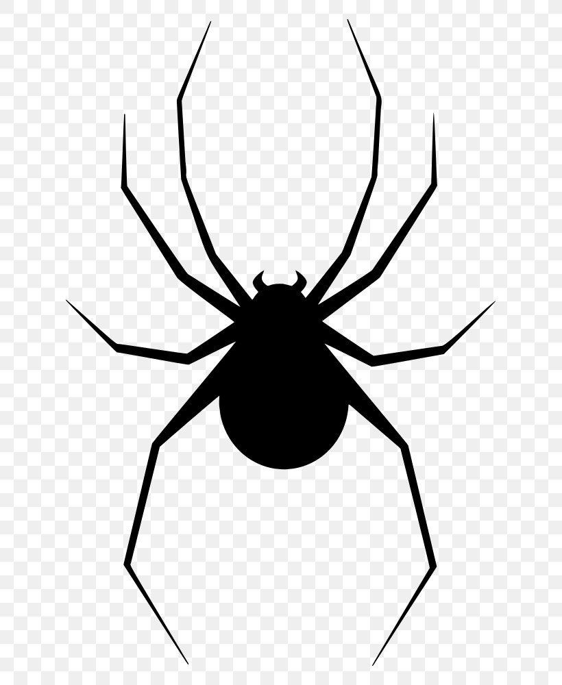Spider Arachnid Line Pest Widow Spider, PNG, 665x1000px, Spider, Arachnid, Insect, Line, Orbweaver Spider Download Free