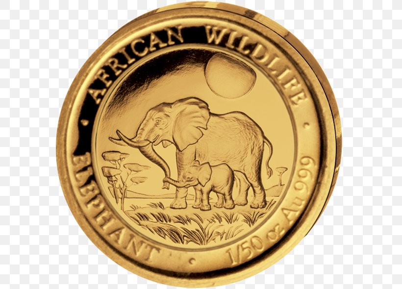 Gold Coin Gold Coin Ounce Elephantidae, PNG, 600x590px, Coin, Brass, Bronze Medal, Commemorative Coin, Currency Download Free