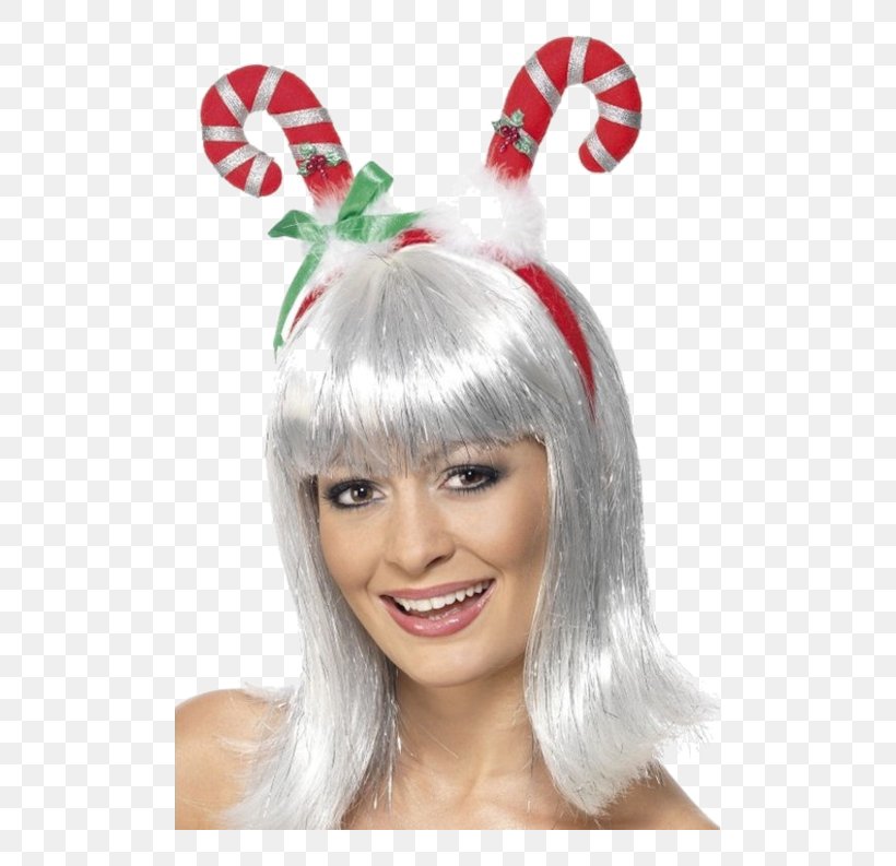 Hat Christmas Ornament Wig Clothing Accessories, PNG, 500x793px, Hat, Christmas, Christmas Ornament, Clothing Accessories, Costume Download Free