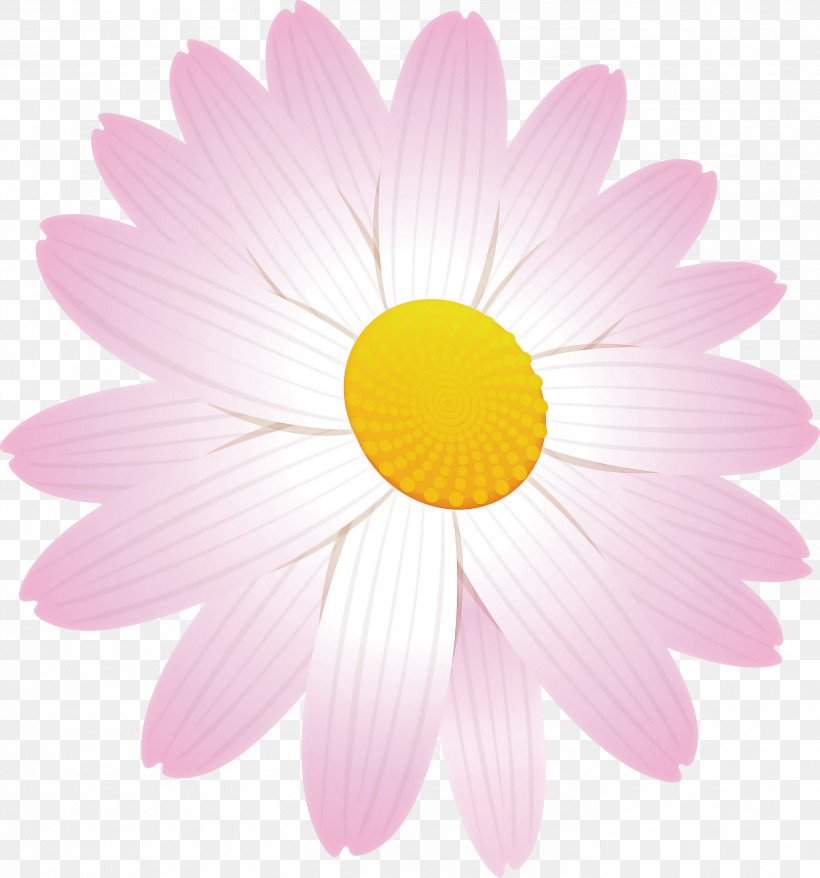 Marguerite Flower Spring Flower, PNG, 2799x3000px, Marguerite Flower, Aster, Asterales, Barberton Daisy, Camomile Download Free