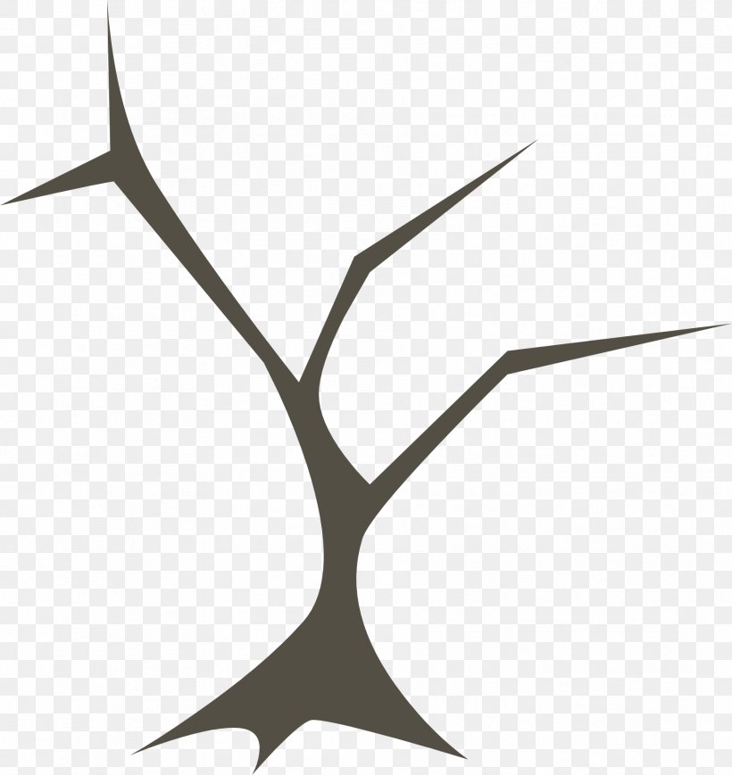 Vector Graphics Branch Image Tree, PNG, 1811x1920px, Branch, Bark, Leaf, Music Download, Plant Download Free