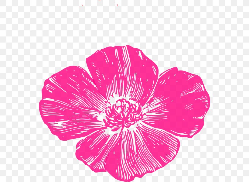 California Poppy Clip Art Common Poppy, PNG, 564x599px, California Poppy, Armistice Day, California, Common Poppy, Dianthus Download Free