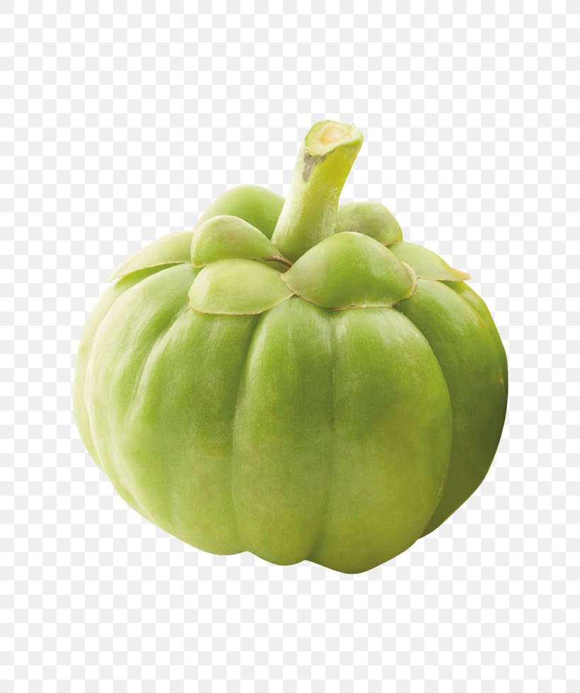Garcinia Cambogia Dietary Supplement Weight Loss Chayote Dieting, PNG, 800x979px, Garcinia Cambogia, Antiobesity Medication, Appetite, Chayote, Cucumber Gourd And Melon Family Download Free