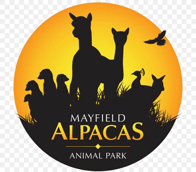 Mayfield Alpacas Llama Animal Zoo, PNG, 718x720px, Alpaca, Animal, Animal Rescue Group, Brand, Farm Download Free