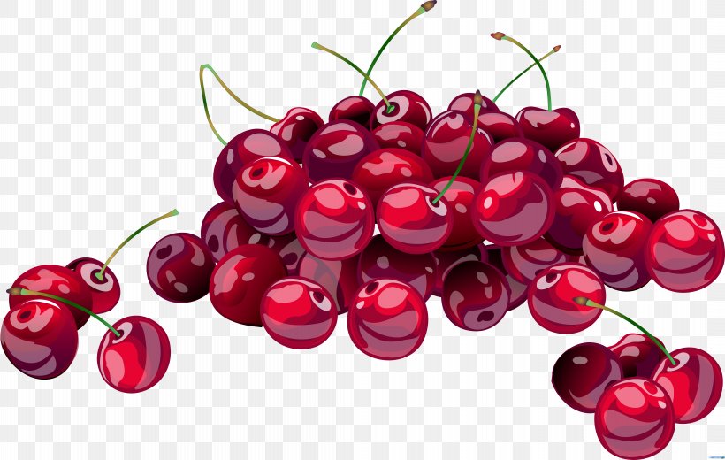Cherries Jubilee Cherry Clip Art, PNG, 8396x5330px, Cherries Jubilee, Berry, Blossom, Cherry, Cherry Blossom Download Free