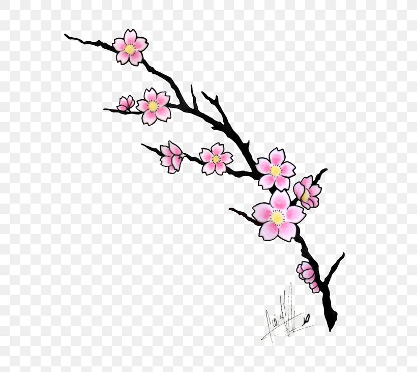 Cherry Blossom Drawing Clip Art, PNG, 595x731px, Cherry Blossom, Area, Art, Artwork, Blossom Download Free