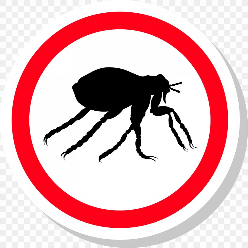 Insect Pest Control Flea Treatments, PNG, 1667x1667px, Insect, Animal, Apartment, Area, Artwork Download Free