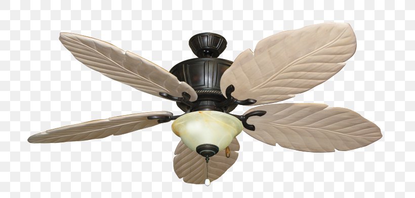 Lighting Ceiling Fans, PNG, 800x392px, Light, Architectural Lighting Design, Blade, Bronze, Ceiling Download Free