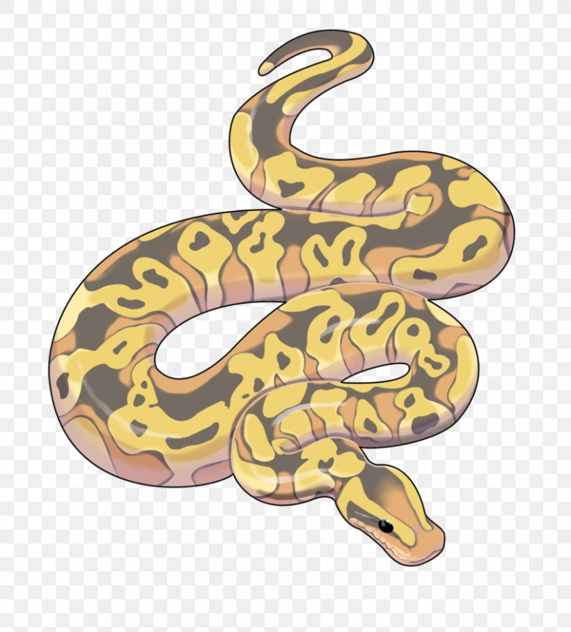 Boa Constrictor Artist Snake, PNG, 849x940px, Boa Constrictor, Art, Art Director, Artist, Ball Python Download Free