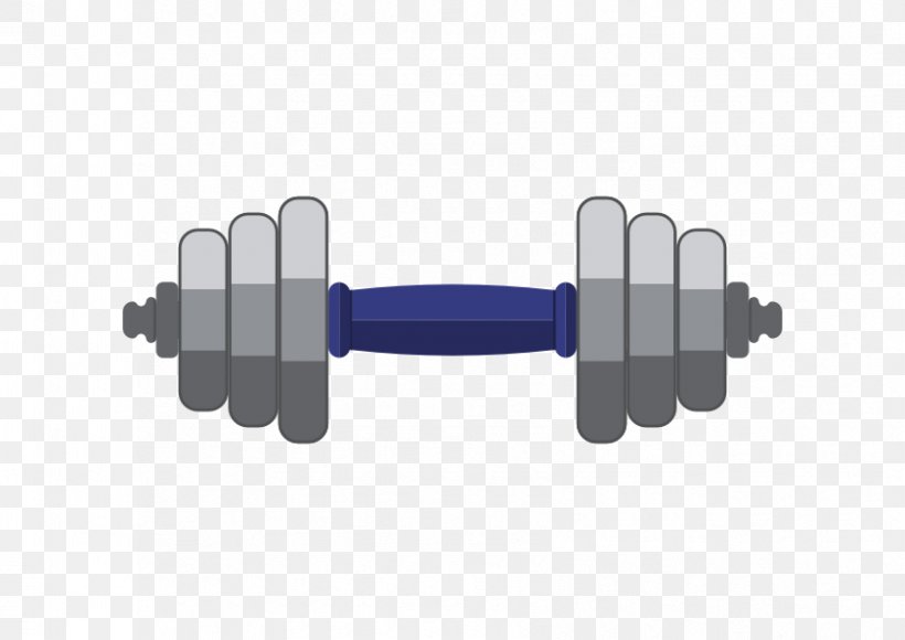 Dumbbell Barbell Euclidean Vector, PNG, 841x595px, Dumbbell, Animation, Apng, Barbell, Bodybuilding Download Free