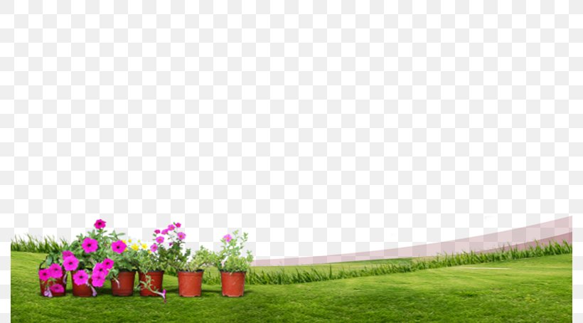 Grass Spring Green Meadow Lawn, PNG, 790x454px, Grass, Designer, Green, Lawn, Meadow Download Free