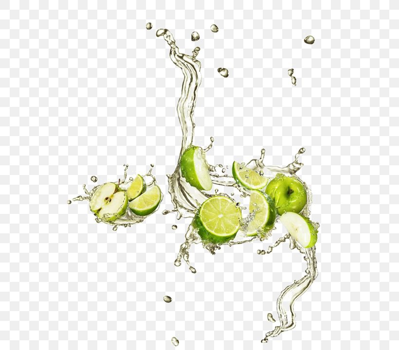 Lime Auglis Apple, PNG, 564x720px, Lime, Apple, Auglis, Body Jewelry, Creativity Download Free