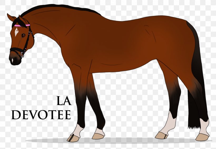 Mane Stallion Foal Pony Mustang, PNG, 1076x742px, Mane, Bit, Bridle, Colt, English Riding Download Free