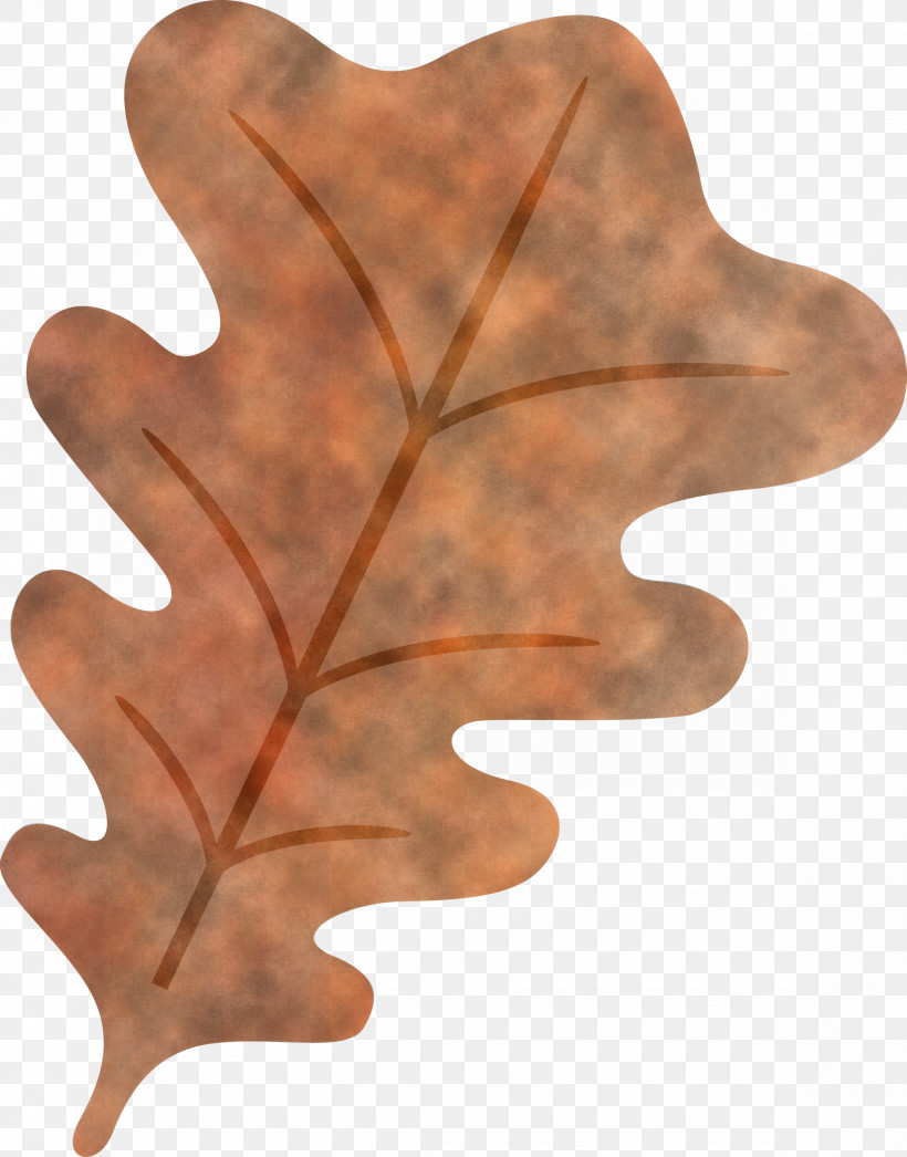 Oak Leaf, PNG, 2351x3000px, Oak Leaf, Cartoon, Christmas Day, Christmas Tree, Gift Download Free