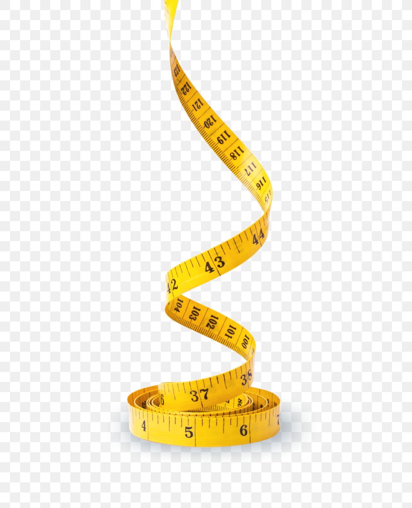 Tape Measures Measurement Health Learning Weight Loss, PNG, 489x1011px, Tape Measures, Diet, Dieting, Health, Human Body Download Free