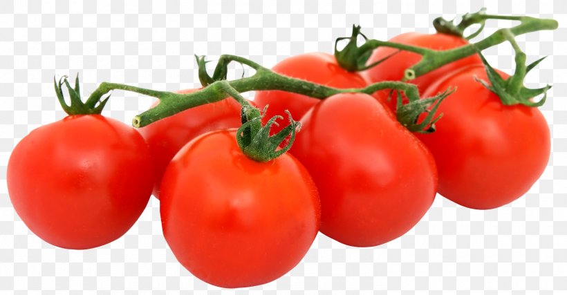 Tomato Pizza Organic Food Vegetarian Cuisine Vegetable, PNG, 1500x782px, Tomato, Bush Tomato, Cabbage, Cauliflower, Cooking Download Free