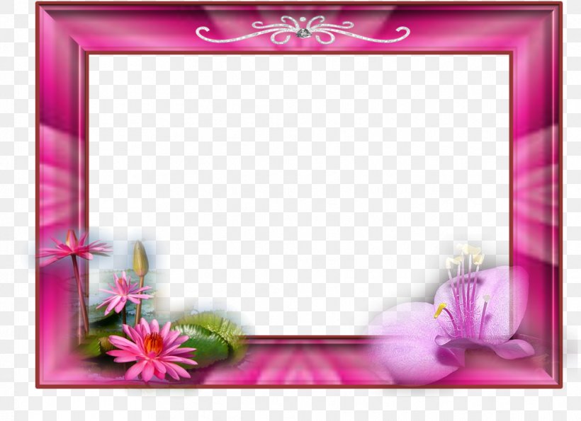 Picture Frames Photography PhotoFiltre, PNG, 988x718px, Picture Frames, Birthday, Flora, Floral Design, Flower Download Free