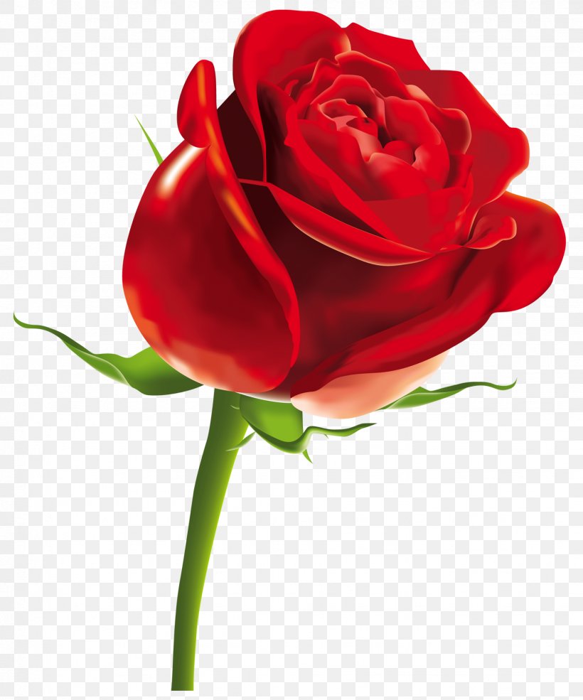 Rose Computer File, PNG, 1438x1729px, Rose, China Rose, Cut Flowers, Floral Design, Floribunda Download Free