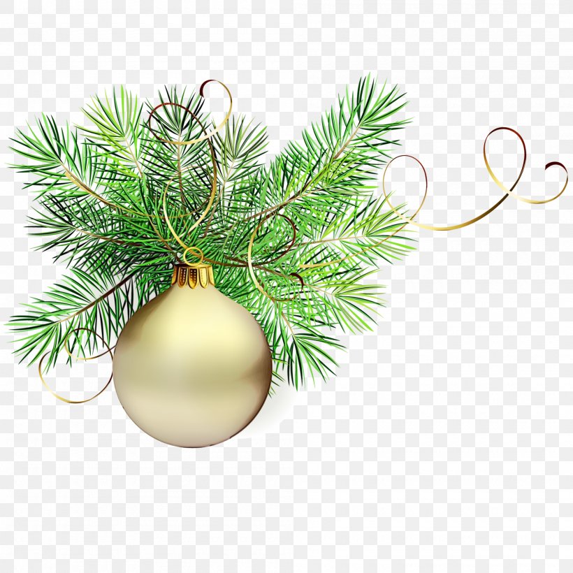 Christmas And New Year Background, PNG, 2000x2000px, 2018, Watercolor, American Larch, Art, Branch Download Free