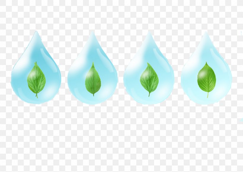 Green Drop Leaf, PNG, 1024x727px, Green, Aqua, Color, Designer, Drop Download Free
