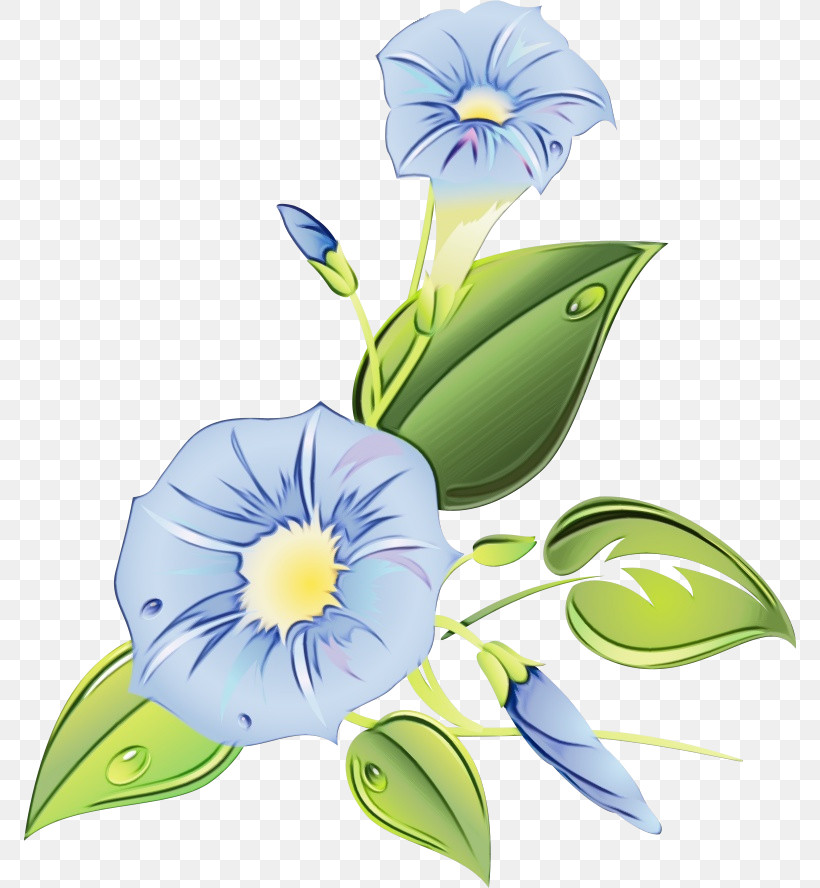 Floral Design, PNG, 772x888px, Morning Glory, Cut Flowers, Floral Design, Flower, Paint Download Free