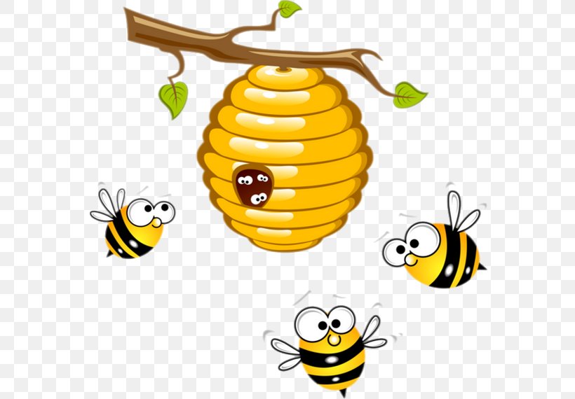 Honey Bee Beehive Clip Art, PNG, 570x570px, Bee, Beehive, Bumblebee, Food, Honey Download Free
