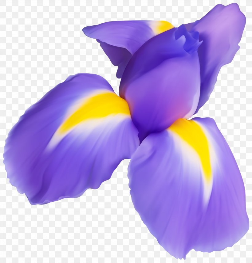 Petal Purple Violet Flower Plant, PNG, 2865x3000px, Petal, Crocus, Flower, Flowering Plant, Iris Download Free