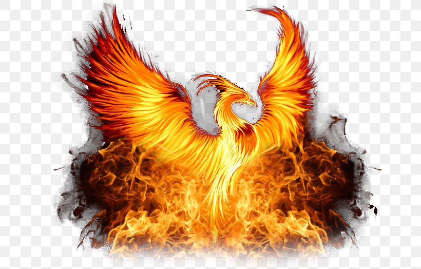 Phoenix Thundersport GB Symbol, PNG, 667x524px, Phoenix, Beak, Chicken, Elemental, English Download Free