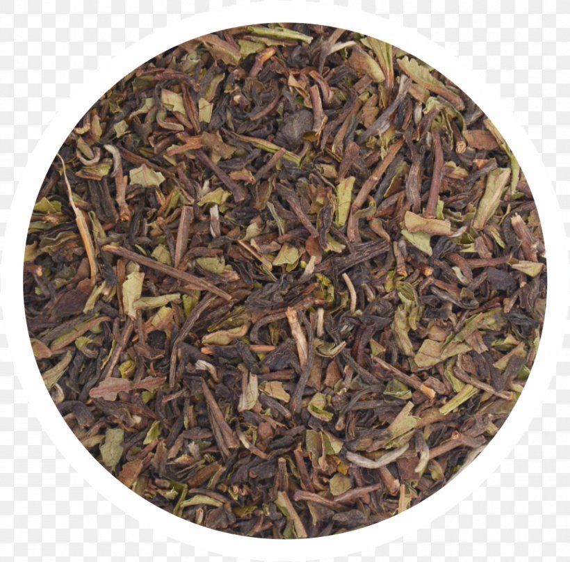 Zabulistan Kabulistan Greater Khorasan Bactria, PNG, 866x854px, Zabulistan, Assam Tea, Bactria, Bai Mudan, Bancha Download Free