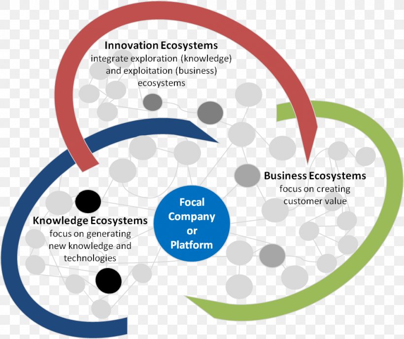 Business Ecosystem Management Innovation, PNG, 989x832px, Business Ecosystem, Aquatic Ecosystem, Area, Brand, Business Download Free
