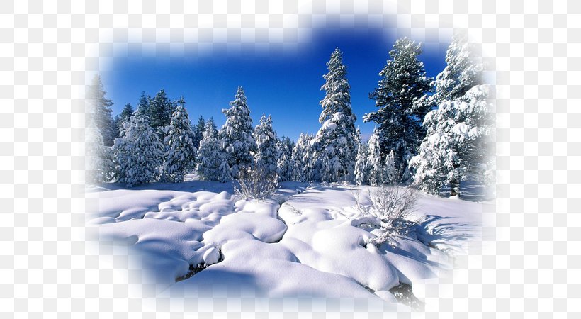 Desktop Wallpaper Winter Photography, PNG, 600x450px, Winter, Arctic, Autumn, Christmas, Conifer Download Free