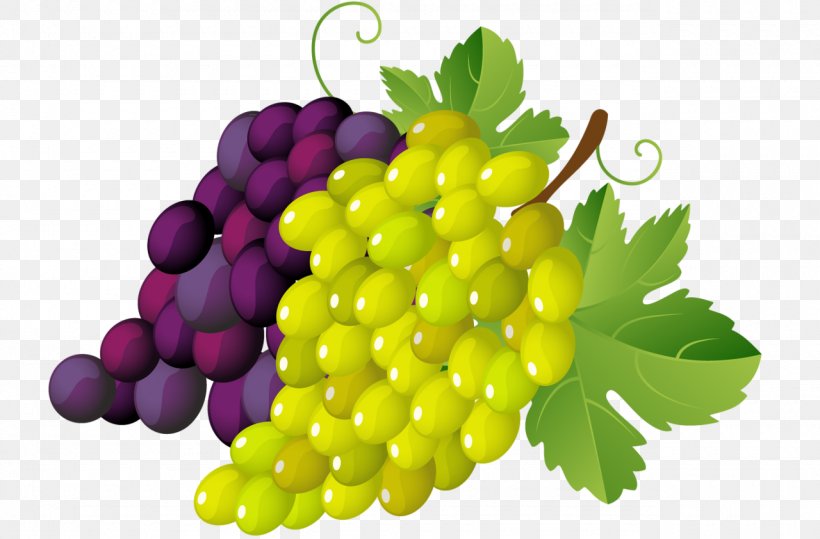 Fruit Clip Art, PNG, 1280x842px, Fruit, Art, Food, Grape, Grape Leaves Download Free