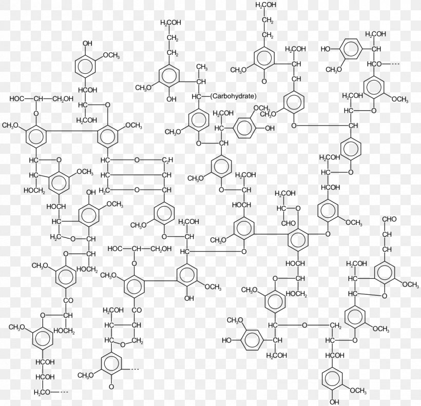 Lignin Cellulose Polymer Paper Chemistry, PNG, 1242x1200px, Lignin, Area, Auto Part, Black And White, Cell Wall Download Free