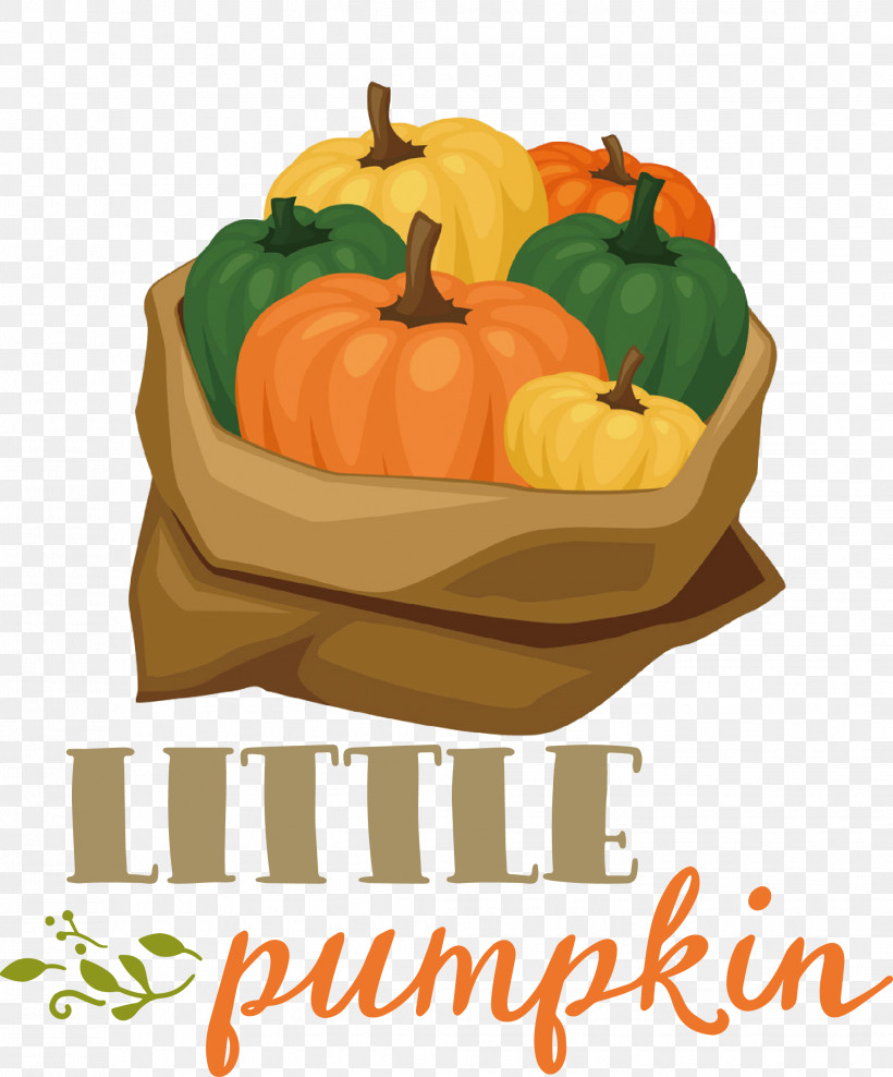 Little Pumpkin Thanksgiving Autumn, PNG, 2063x2486px, Little Pumpkin, Autumn, Gourd, Jackolantern, Local Food Download Free